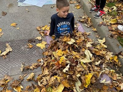 Počitniške aktivnosti